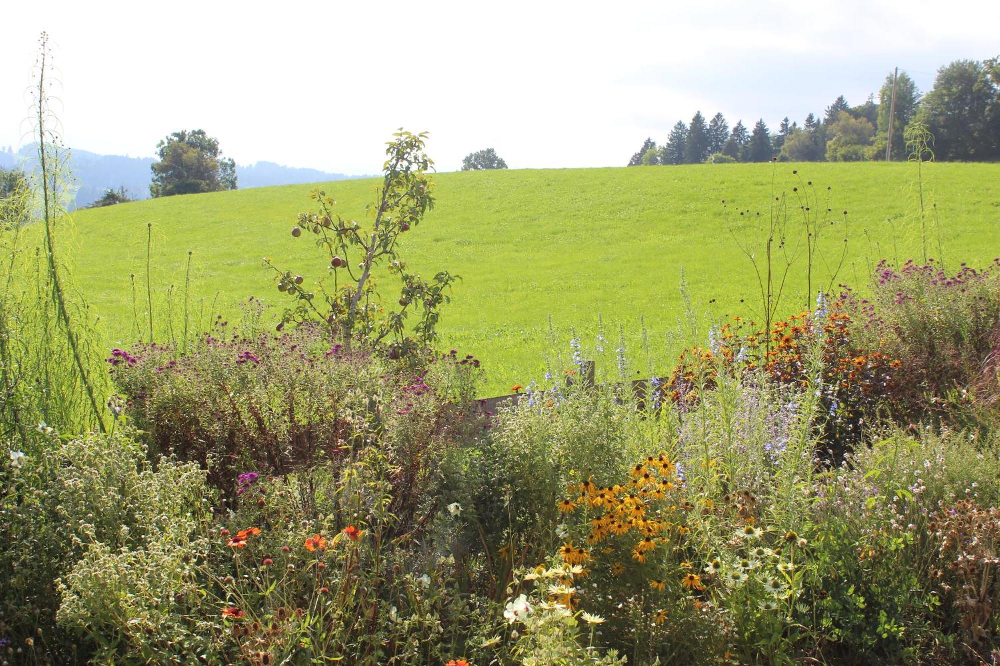 Landsitz Rocky Docky Vila Niedersonthofen Exterior foto